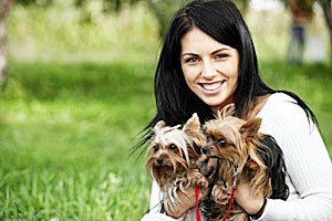 training a yorkie