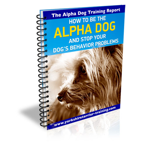 Free ALPHA Dog Training Report - How to be the alpha dog stop your dogs behavior problems