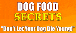 dog food secrets to help keep your dog healthy