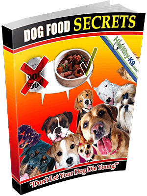 healthy dog food secrets report Healthy - Dog Food - Why It is Essential